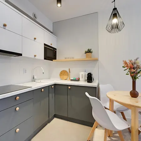 Aura Island Riverside By Downtown Apartment Gdansk